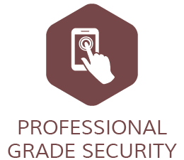 Professional Grade Security